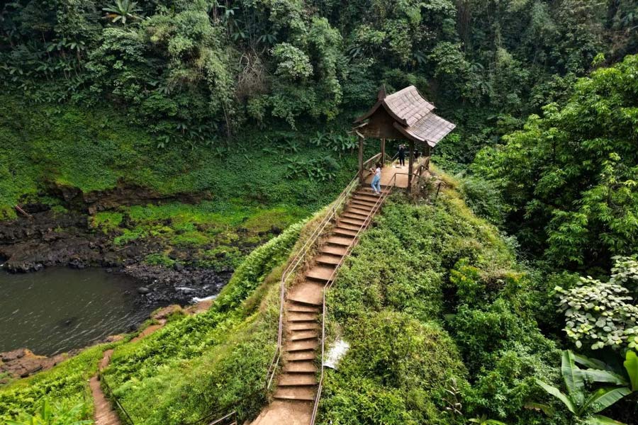 Bolaven Plateau
