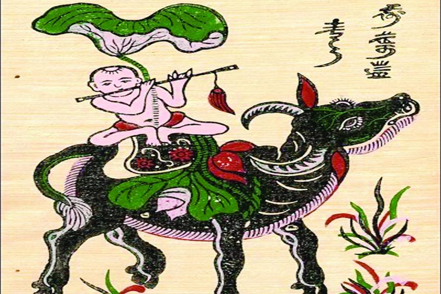 bufalo nella vietnamita: pianti di dong ho