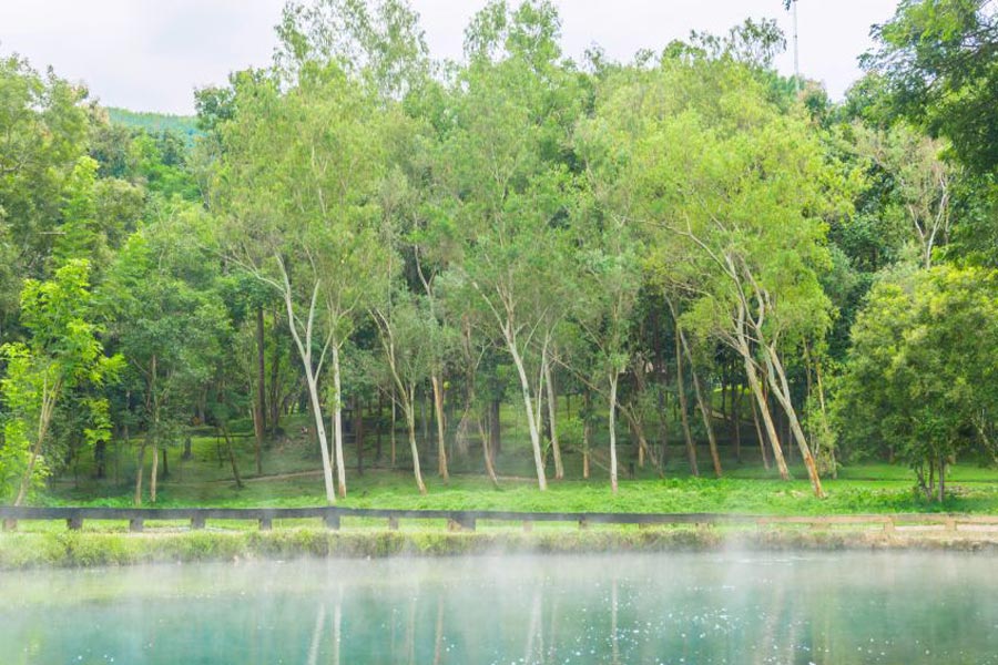 Panoramica sul clima delle sorgenti termali di Huay Mark Liam