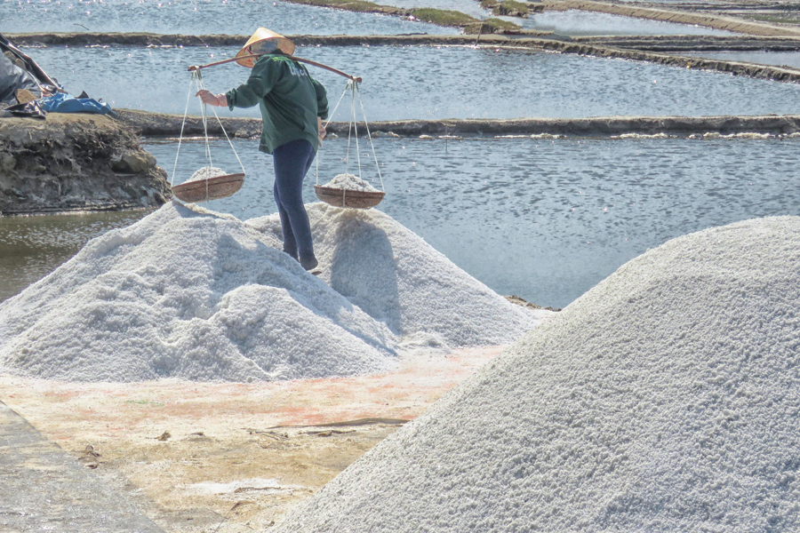 Il campo di sale di Sa Huynh a Quang Ngai
