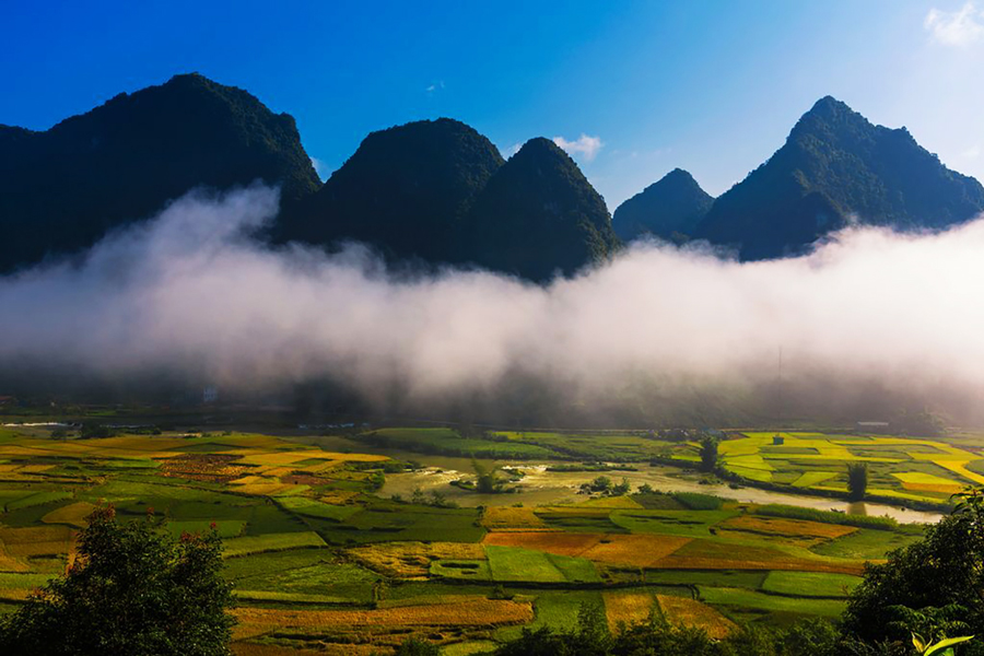 Le pìu belle risaie del Vietnam