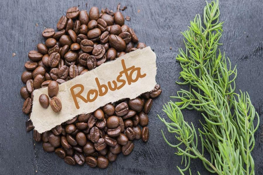 Caffè Robusta