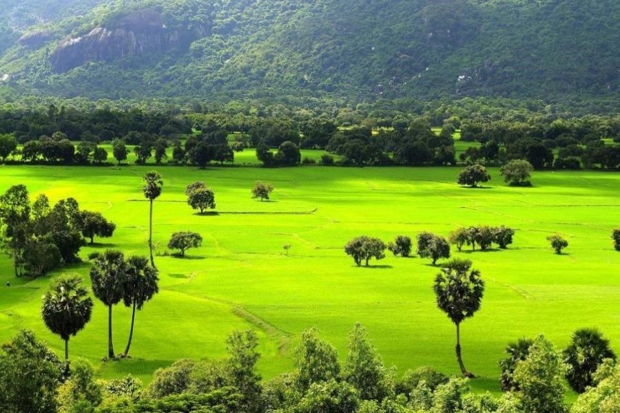 la foresta di Tra Su-Chau Doc