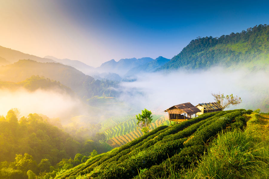 chiang mai