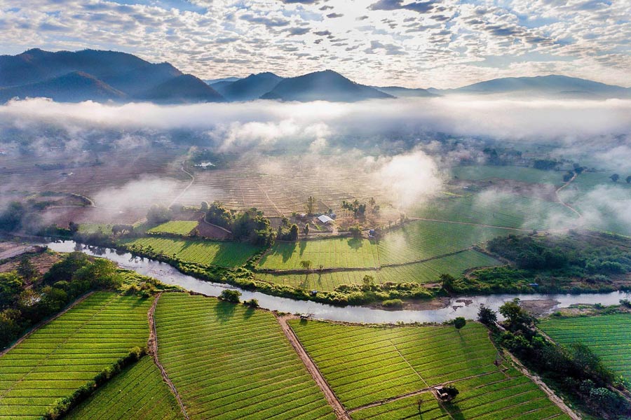 Chiang Rai