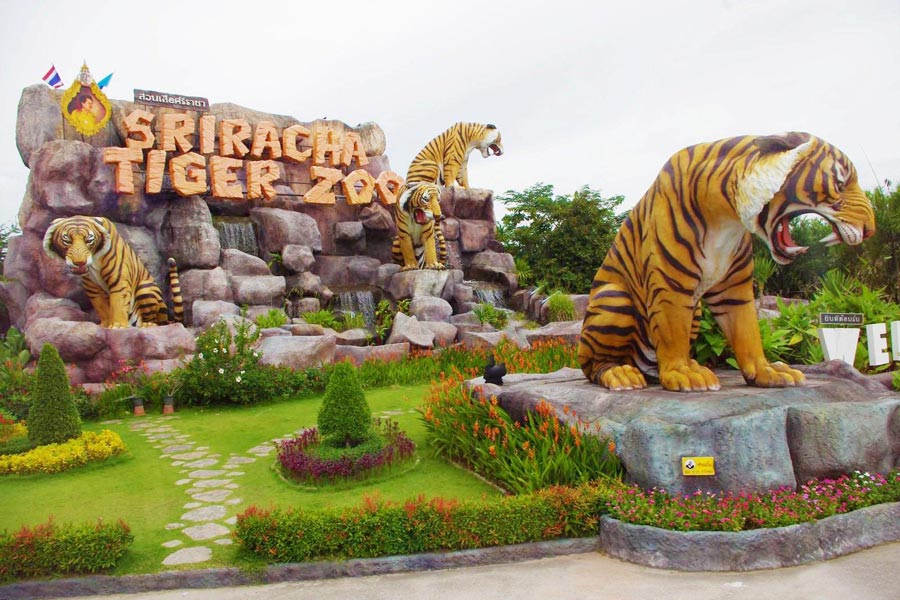 Chon Buri - Viaggio - Thailandia