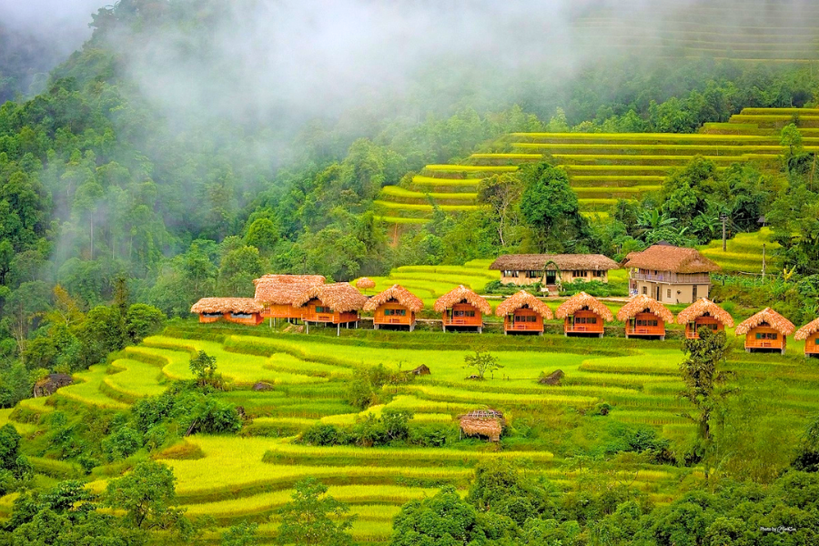 9 Consigli Essenziali per un Viaggio Indimenticabile ad Ha Giang