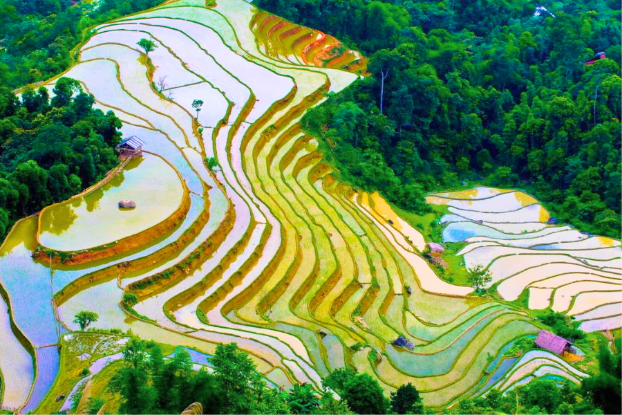 9 Consigli Essenziali per un Viaggio Indimenticabile ad Ha Giang