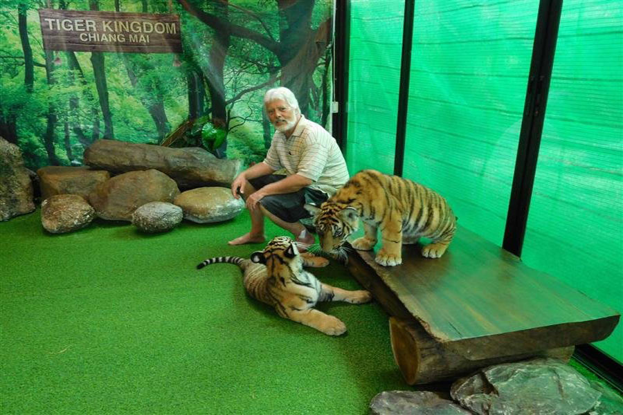 Regno della Tigre