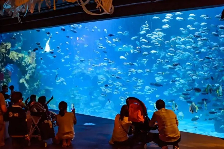 cose da fare a phuket: aquaria phuket