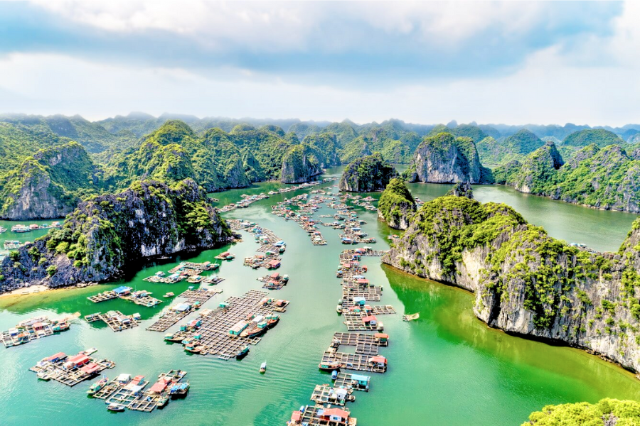 Crociera alla Baia di Ha Long: Consigli e Quale Scegliere