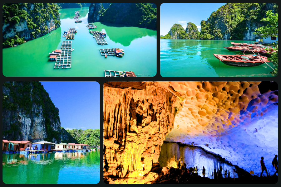 Crociera alla Baia di Ha Long: Consigli e Quale Scegliere