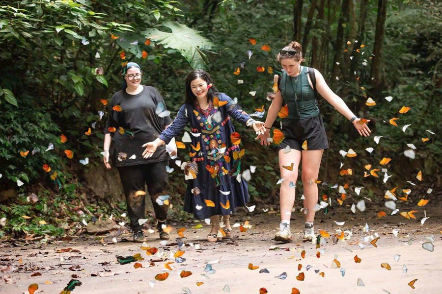 La stagione delle farfalle a Cuc Phuong - Consigli per la avventura