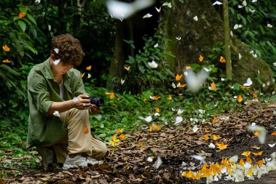 La stagione delle farfalle a Cuc Phuong - Scattare una foto 