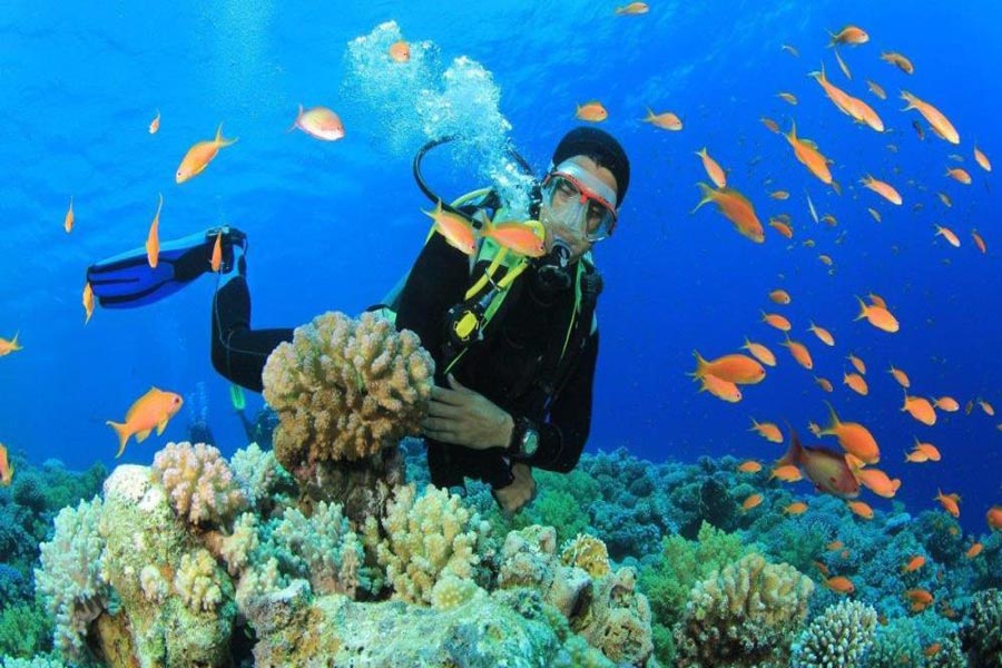 Il momento migliore per fare immersioni a Hoi An