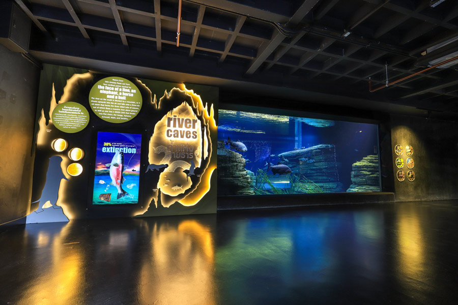 Cosa vedere all'Acquario di Phuket
