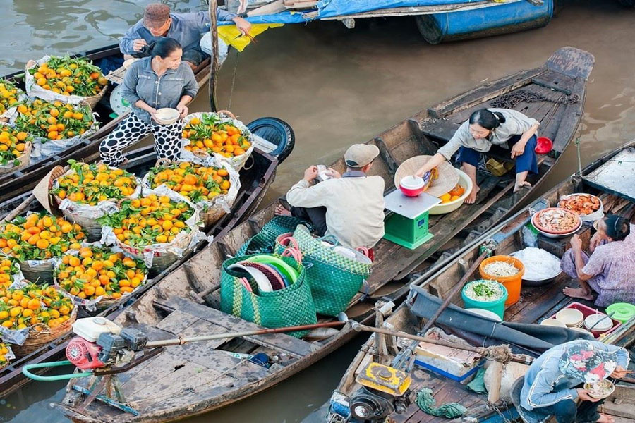Scoprire la bellezza della campagna vietnamita