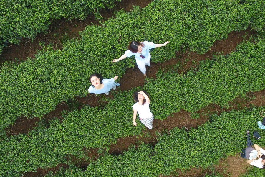 5 Destinazioni per il Turismo Sostenibile in Vietnam