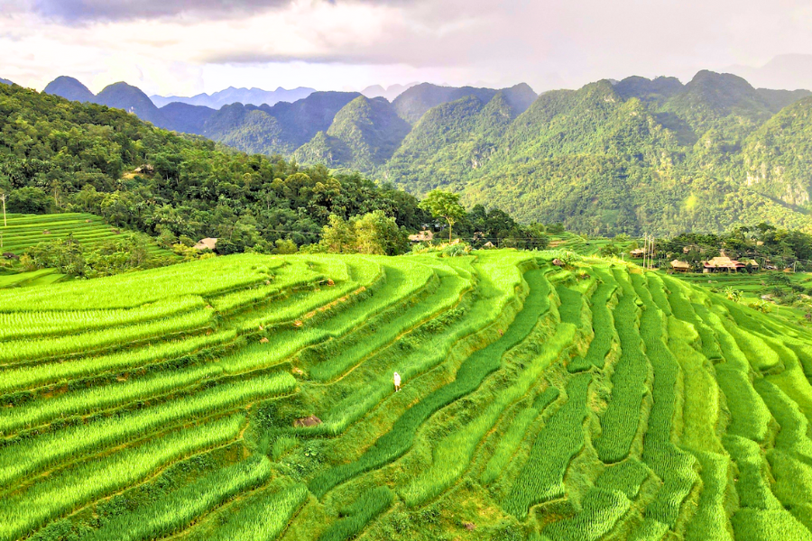 5 Destinazioni per il Turismo Sostenibile in Vietnam
