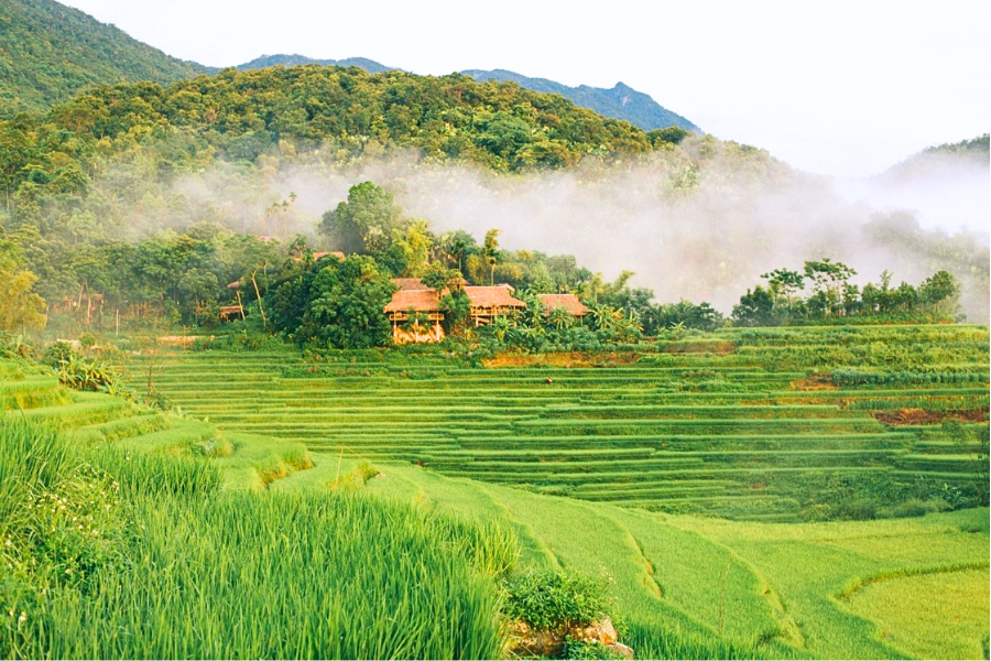 5 Destinazioni per il Turismo Sostenibile in Vietnam
