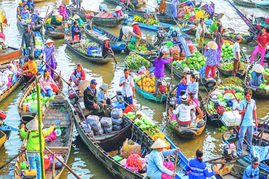 5 Destinazioni per il Turismo Sostenibile in Vietnam