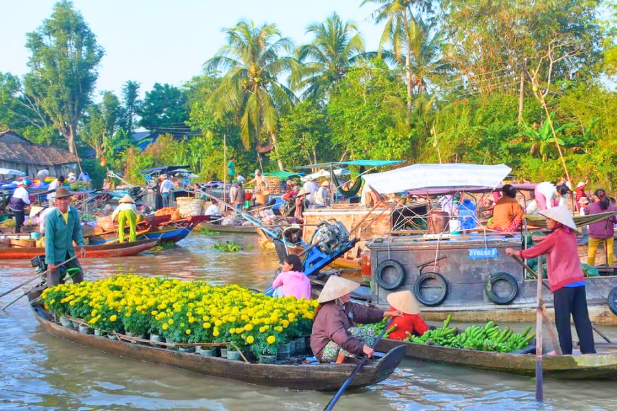 5 Destinazioni per il Turismo Sostenibile in Vietnam