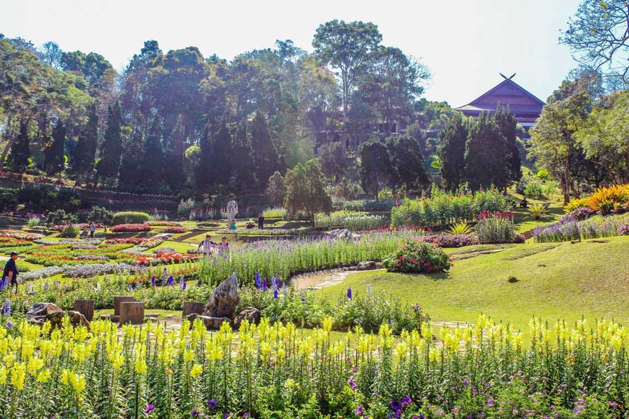 Panoramica sul clima di Doi Tung