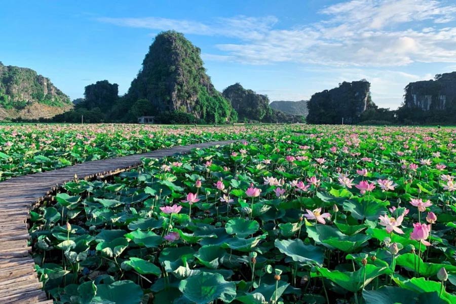 Come spostarsi a Ninh Binh