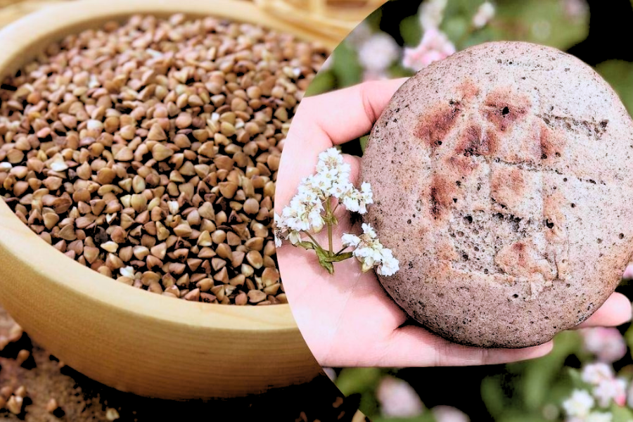 Festa del Fiore di Grano Saraceno a Ha Giang - Guida di viaggio