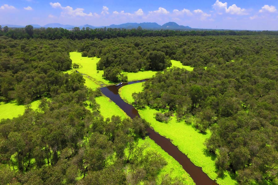 Foresta melaleuca Tra Su in An Giang