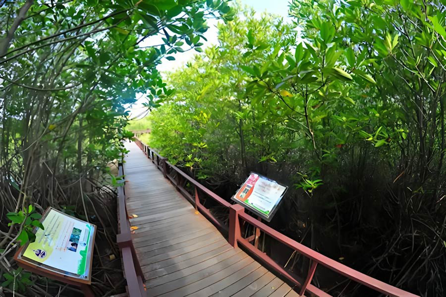 Il ponte di legno all'interno della foresta