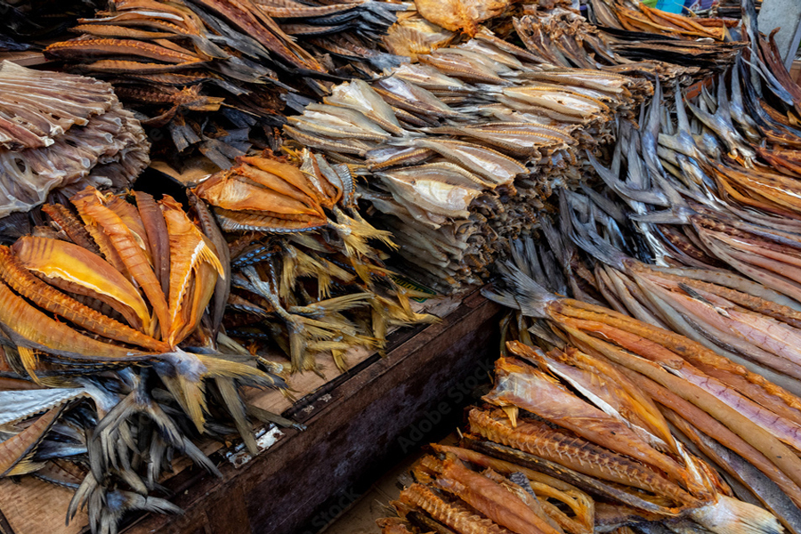 Diversi tipi di pesce essiccato
