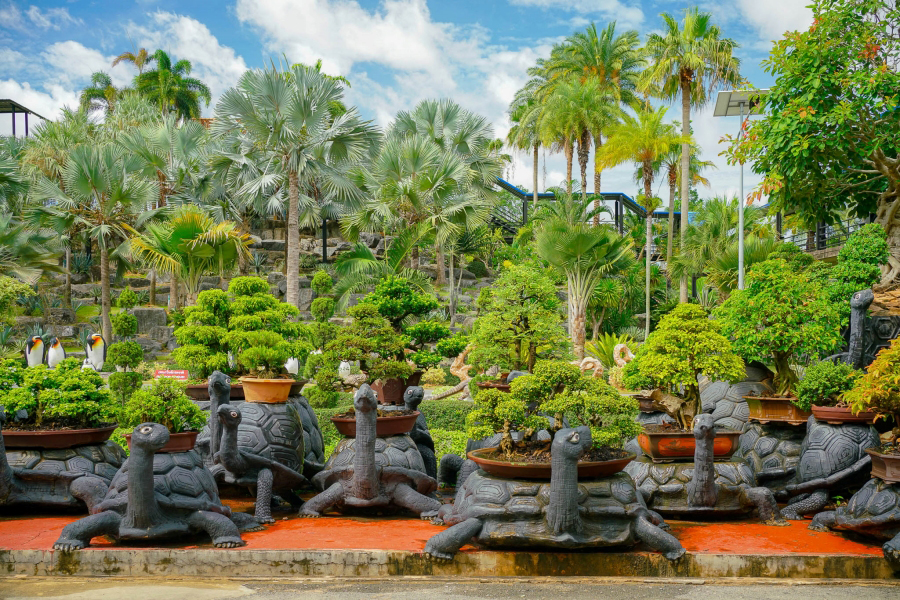 Ammira opere bonsai uniche
