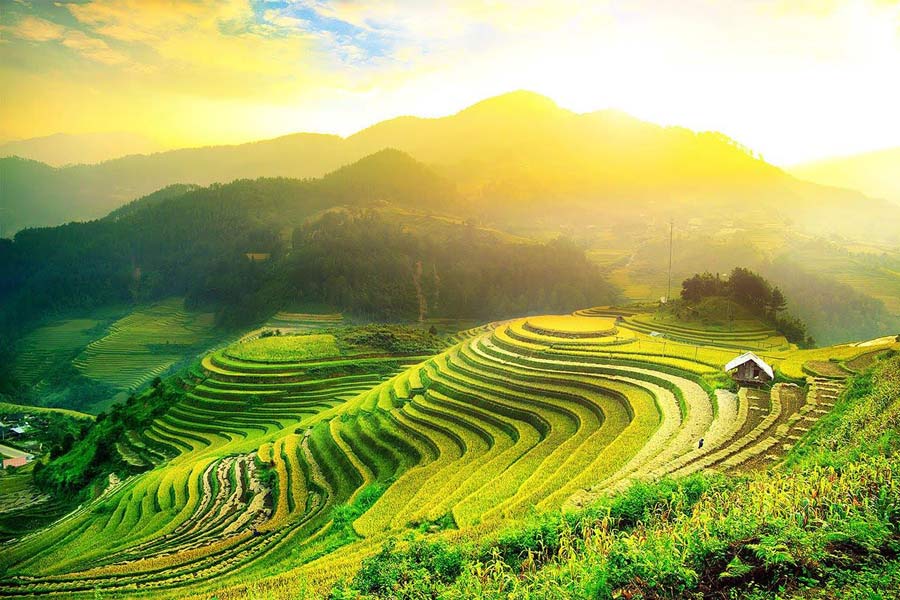 Estate a Ha Giang: le terrazze di riso splendono di verde vivo