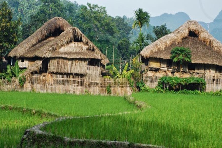 Villaggio Ha Thanh - Guida di viaggio - Attrazione di Vietnam