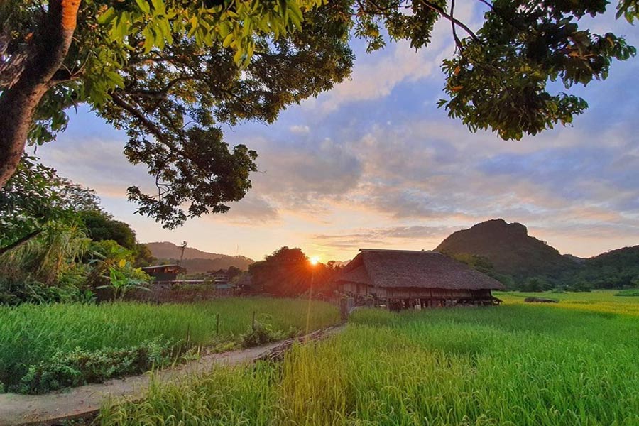 Villaggio Ha Thanh - Guida di viaggio - Attrazione di Vietnam