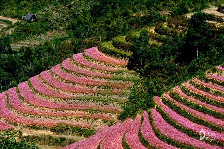 il Palazzo del Re Hmong- Guida di viaggio-Attrazione di Vietnam