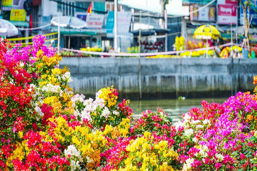 il capodanno lunare in Vietnam