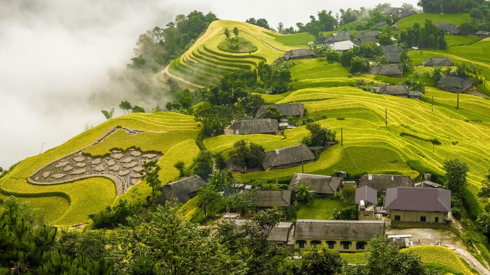 Hoang Su Phi - Attrazione di Vietnam