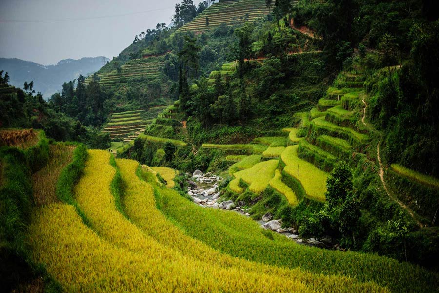Hoang Su Phi - Ha Giang