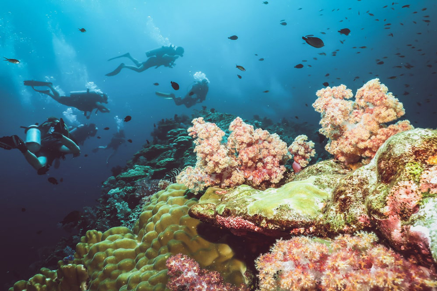 Snorkeling tra i coralli colorati