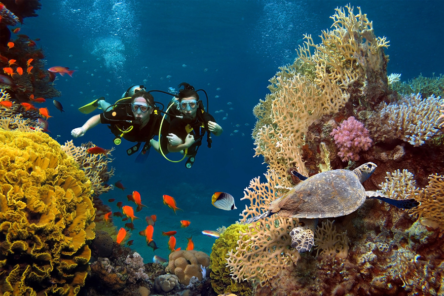 Snorkeling alla scoperta del mondo sottomarino di Koh Phra Thong
