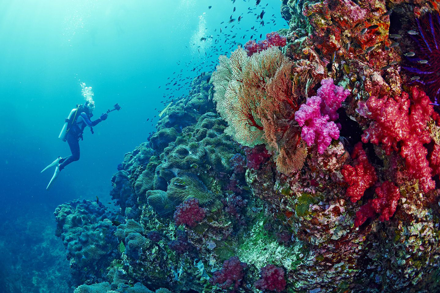 Koh Phangan è il luogo perfetto per le attività subacquee