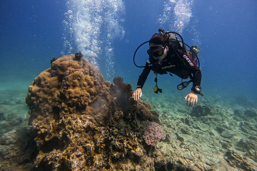 Esperienza l'immersione in Vietnam