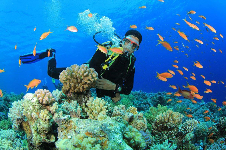 Esperienza l'immersione in Vietnam
