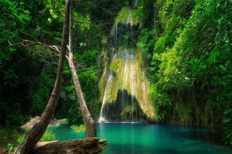 Il parco nazionale Kaeng Krachan