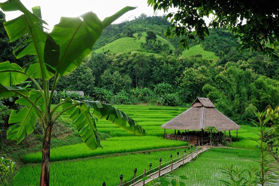 Kamu Lodge homestay