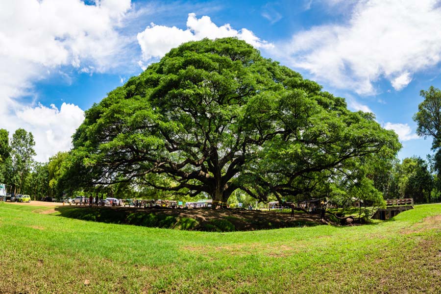 Kanchanaburi - viaggio - Thailandia