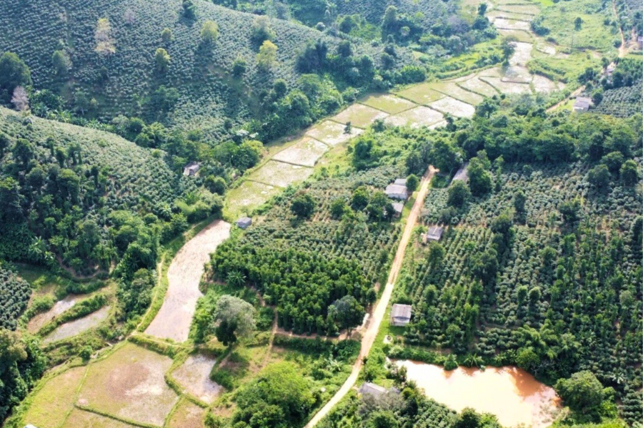 Khe Sanh - Guida di viaggio - Attrazione in Quang Tri