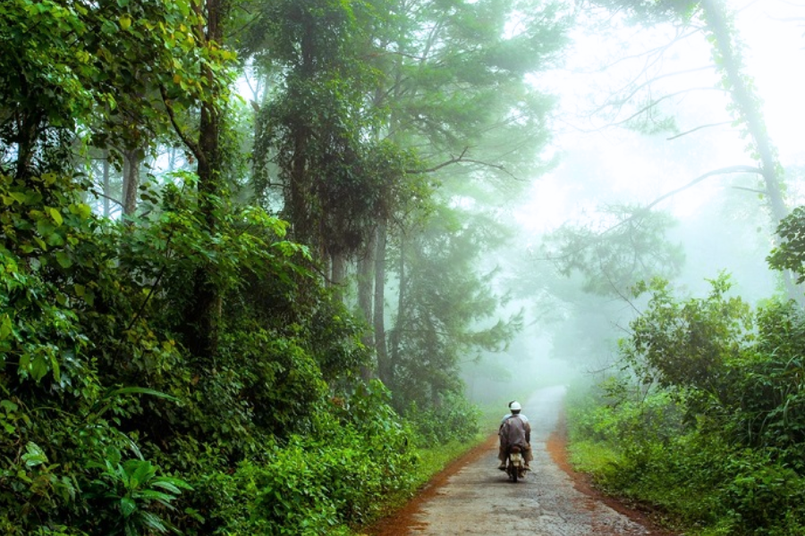Khe Sanh - Guida di viaggio - Attrazione in Quang Tri